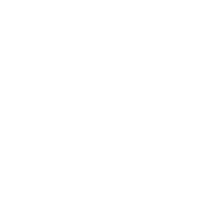 チェックボックス